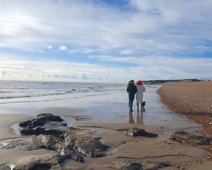 Dog walking on Winchelsea beach when the tide is out - Alex Fisher